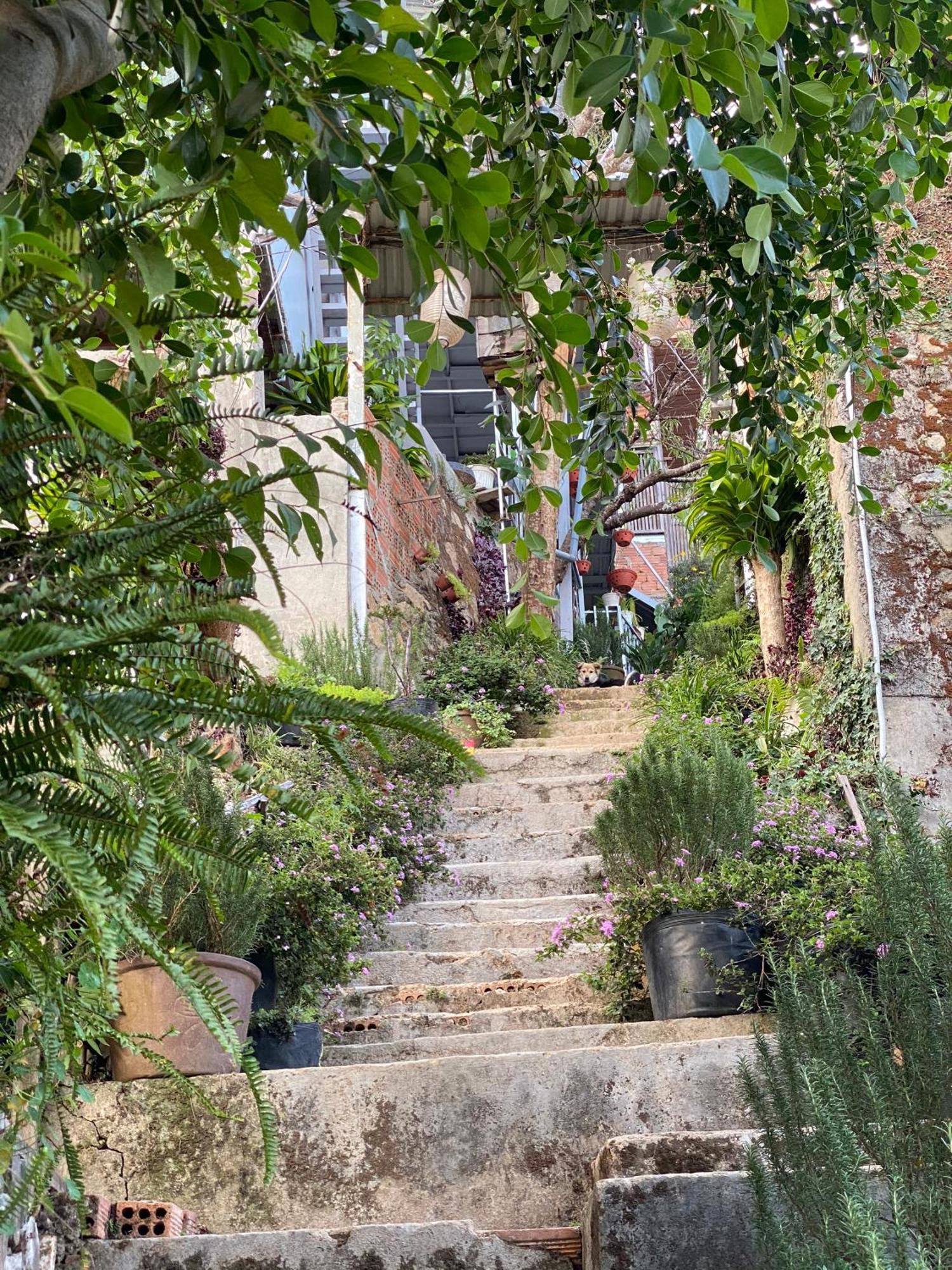 Dalat Memories Homestay - Pho Suong Mo Da Lat Exterior photo