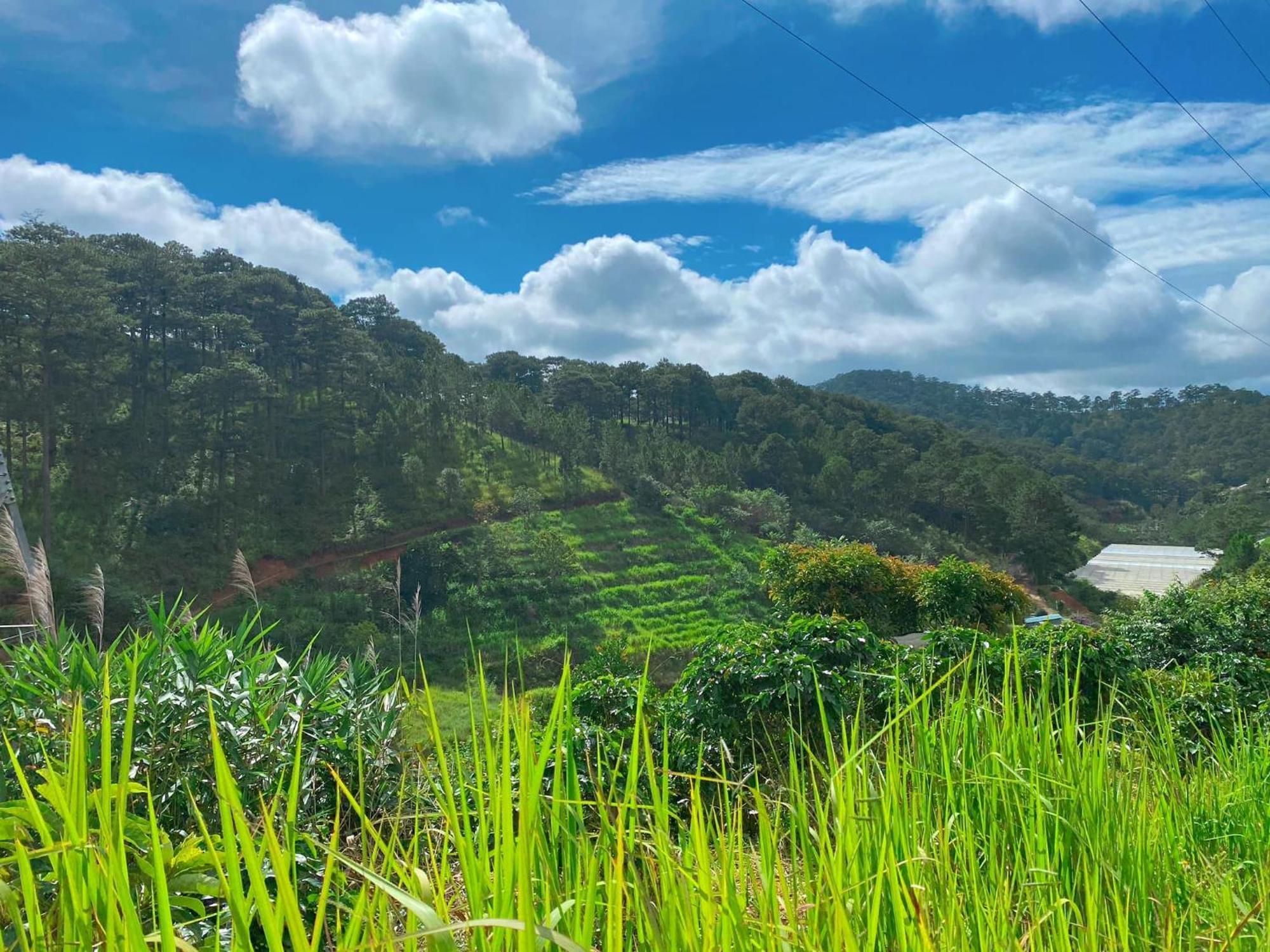 Dalat Memories Homestay - Pho Suong Mo Da Lat Exterior photo